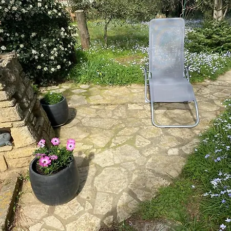 Havre De Paix Au Pont Du Gard Piscine Et Jacuzzi Chez Valerie Payre *