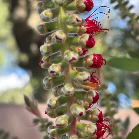 Havre De Paix Au Pont Du Gard Piscine Et Jacuzzi Chez Valerie Payre Сasa de vacaciones Vers Pont du Gard