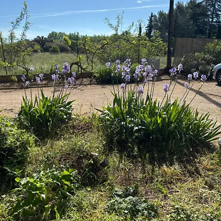 Havre De Paix Au Pont Du Gard Piscine Et Jacuzzi Chez Valerie Payre *