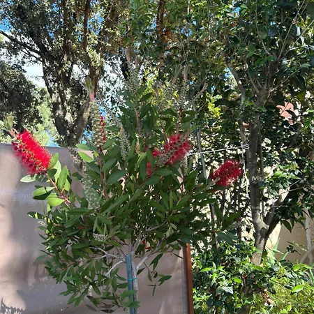 Havre De Paix Au Pont Du Gard Piscine Et Jacuzzi Chez Valerie Payre * ヴェール・ポン・デュ・ガル
