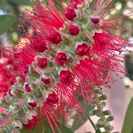 Сasa de vacaciones Havre De Paix Au Pont Du Gard Piscine Et Jacuzzi Chez Valerie Payre