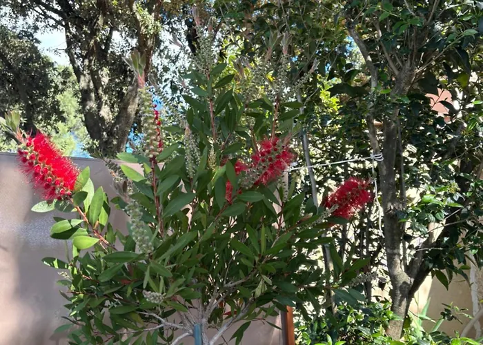 Havre De Paix Au Pont Du Gard Piscine Et Jacuzzi Chez Valerie Payre * ור פון דו גאר